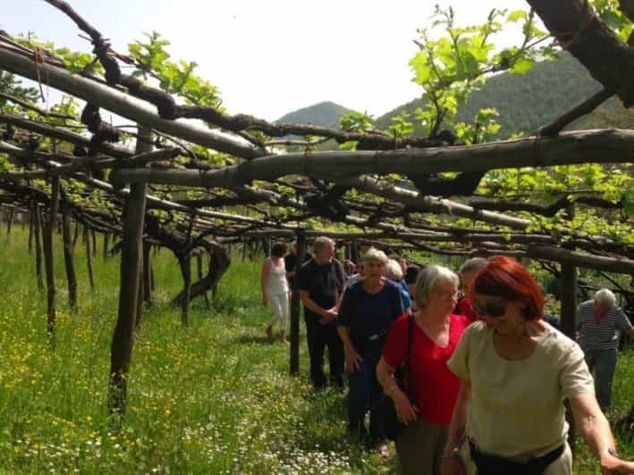 Tramonti Tenuta San Francesco Wine Tasting GetYourGuide