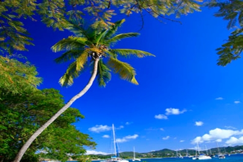 Expérience de détente ultime à Sainte-Lucie (+ déjeuner)Sainte-Lucie : visite de l'île Pigeon avec déjeuner