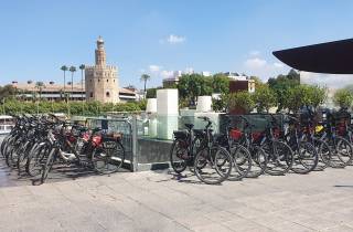 Sevilla: Geführte E-Bike Stadtbesichtigungstour