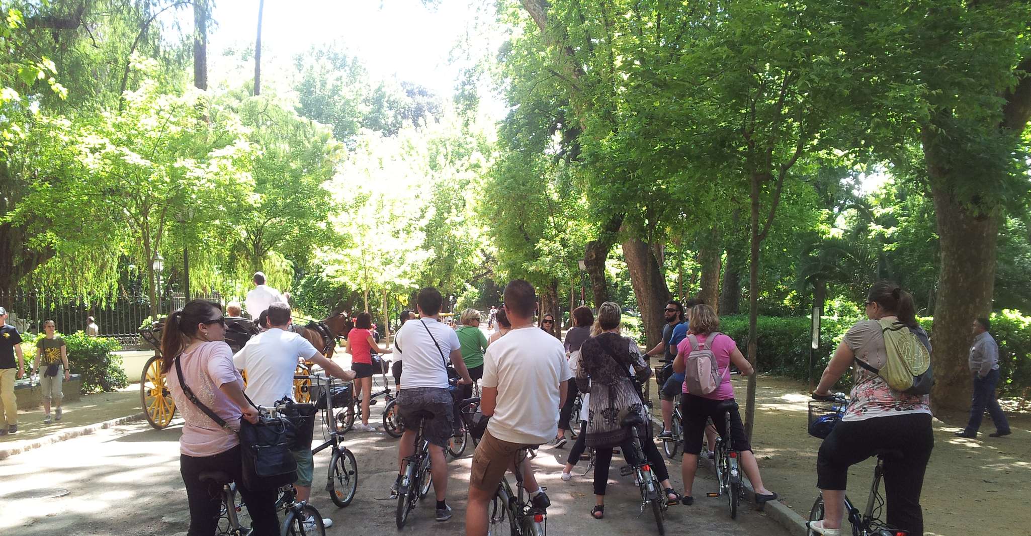 Séville, Visite guidée de la ville en vélo électronique - Hizvo