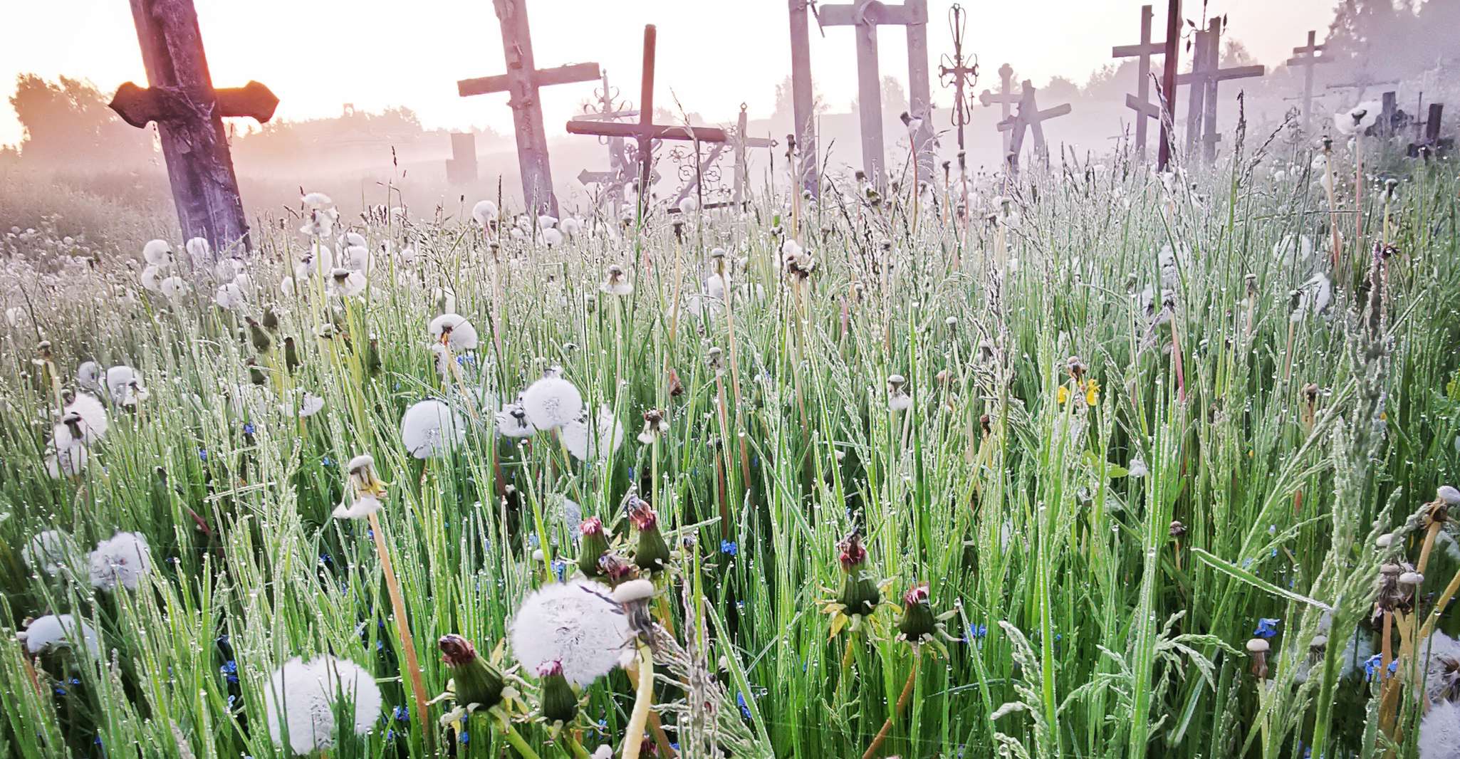 From Riga, The Hill of Crosses Private Guided Tour - Housity