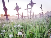 From Riga, The Hill of Crosses Private Guided Tour - Housity
