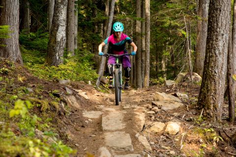 From Sechelt or Langdale: Mountain Biking Tour and Brewery