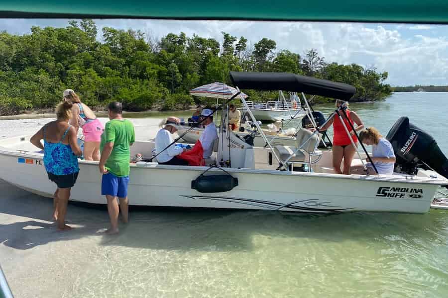 Marco Island: Delphin, Muscheln, Strand & Ten Thousand Island. Foto: GetYourGuide