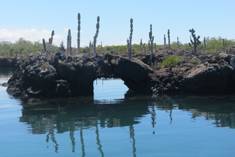 San Cristobal: excursion de 4 jours sur l'île GalapagosAccomodation budgétaires