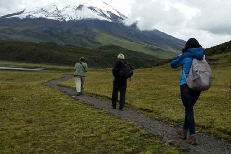 De Quito: 2 jours de voyage Cotopaxi et QuilotoaOption standard