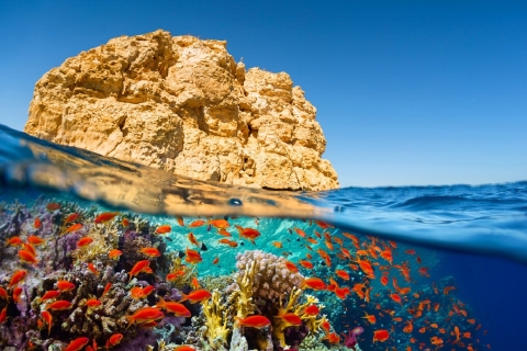 Sharm: White Island und Ras Mohamed mit privaten TransfersEinführungs-Tauchboot-Tour mit privatem Transfer, Mittagessen und Getränken