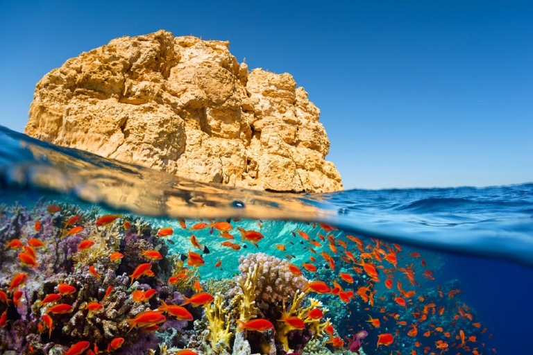 Sharm El Sheikh: Tagesausflug zur Weißen Insel und Ras MohamedYachtausflug zur Weißen Insel und Ras Mohamed
