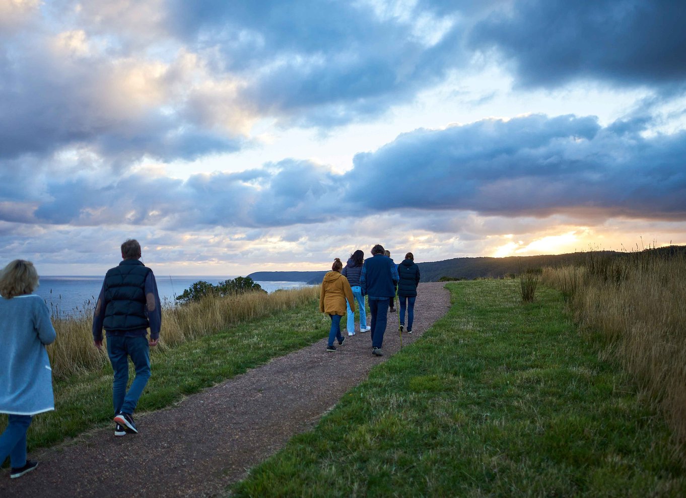 Apollo Bay: Dusk Discovery Great Ocean Road Wildlife Tour