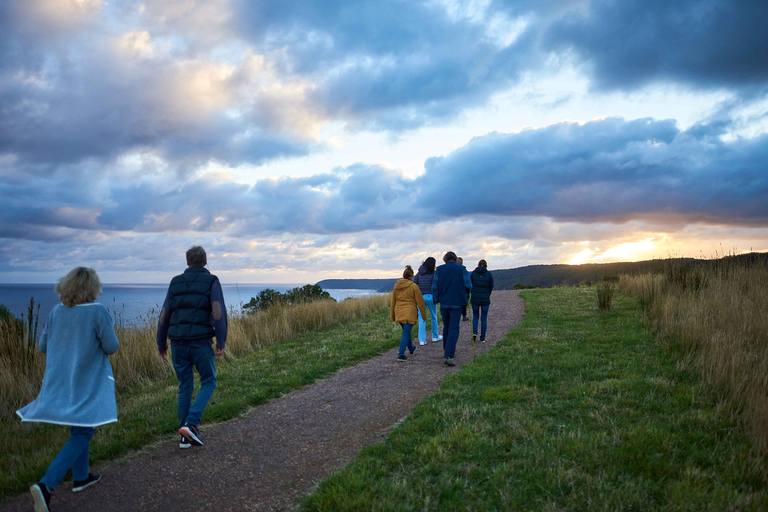 Apollo Bay: Dusk Discovery Great Ocean Road Wildlife Tour