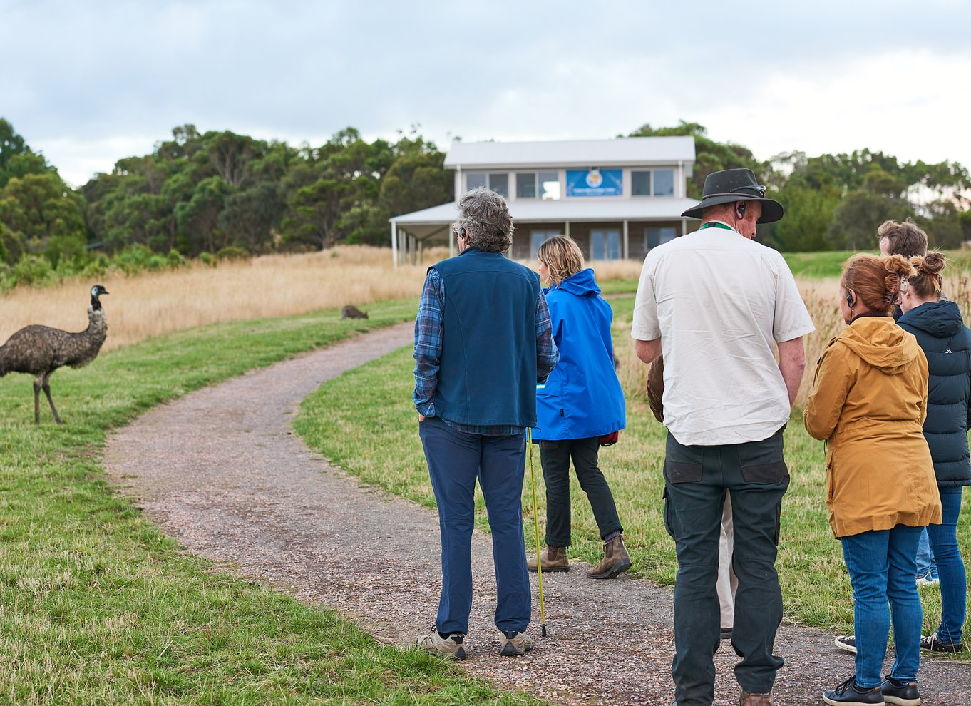 Apollo Bay: Dusk Discovery Great Ocean Road Wildlife Tour