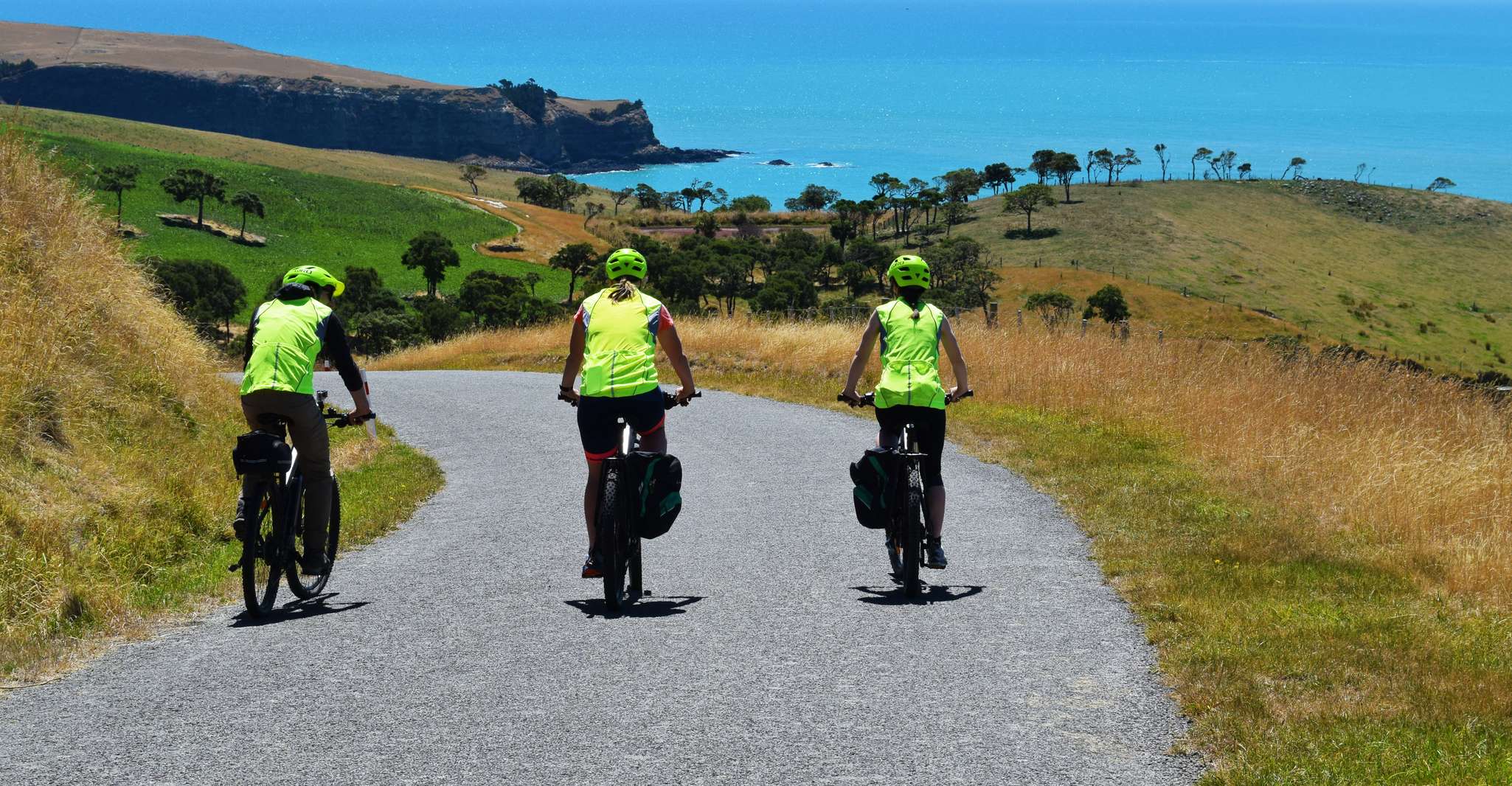 Akaroa, Guided Electric Mountain Bike Tour - Housity