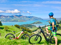 Akaroa, Tour de bicicleta de montaña eléctrica guiada - Housity