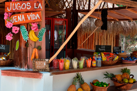 Tulum: Chocolate &amp; Honey Sanctuary Experience med lunch
