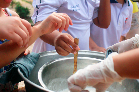 Tulum: Chocolate &amp; Honey Sanctuary Experience med lunch
