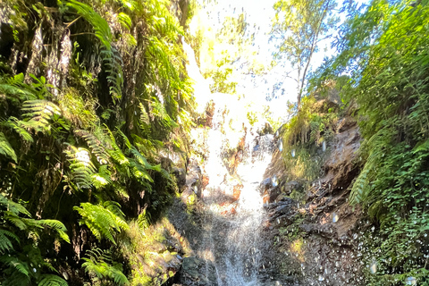 Från Funchal: Madeira Island Canyoning för nybörjareFrån Funchal: Canyoning på Madeira för nybörjare