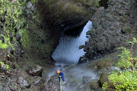 From Funchal: Advanced Canyoning Experience in Madeira