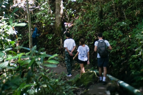 From Chiang Mai: Doi Inthanon National Park Half-Day Hike