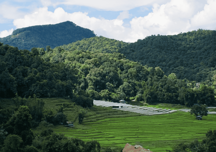 From Chiang Mai: Doi Inthanon National Park Day Trip & Hike