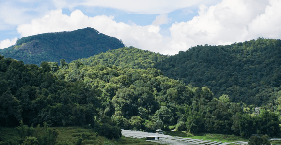 Von Chiang Mai aus: Doi Inthanon National Park Tagesausflug & Wanderung