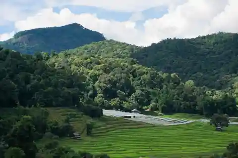 Depuis Chiang Mai : Excursion d'une journée et randonnée dans le parc national de Doi Inthanon