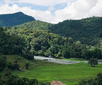 From Chiang Mai: Doi Inthanon National Park Day Trip & Hike