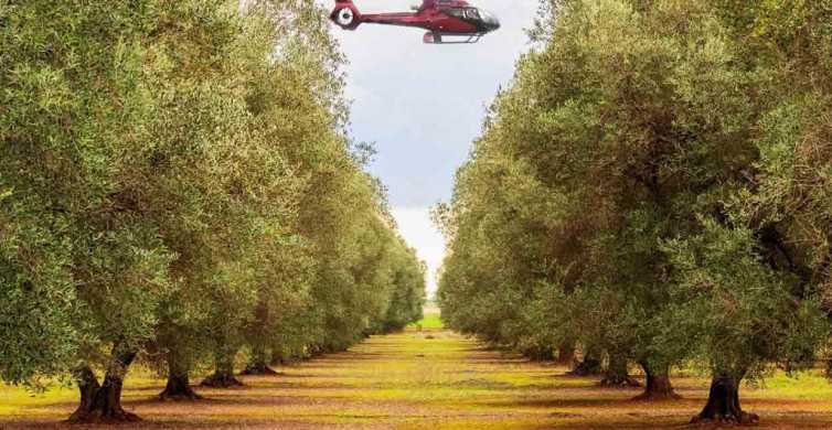 Bodrum : visite guidée en hélicoptère de l'oliveraie et brunch égéen