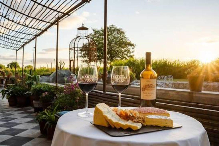 Luxury Experience in Carmelo: Wine and Food Tasting in Narbona Luxury Experience in Carmelo: Wines and Food Tasting in Narbonne