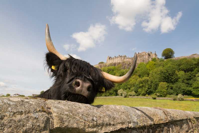 Loch Lomond, Castello di Stirling e Kelpies: tour da Edimburgo