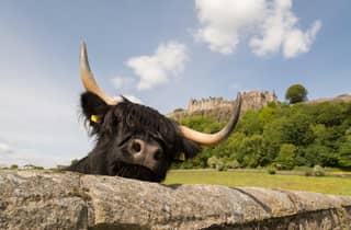 Von Edinburgh aus: Loch Lomond, Stirling Castle & Kelpies Tour