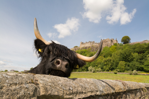 Z Edynburga: Wycieczka do Loch Lomond, zamku Stirling i KelpiesZ Edynburga: Loch Lomond, zamek Stirling i Kelpies