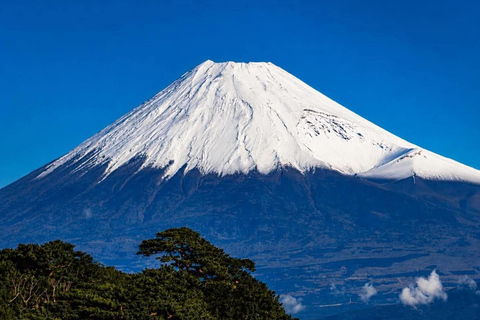 Tokyo: Mt Fuji Full-Day Private Tour of Top Best Places