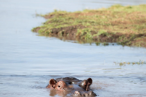 From Nairobi: Hell's Gate National Park & Lake Naivasha Tour