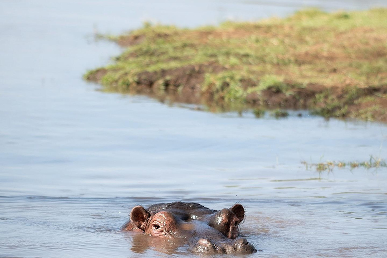 From Nairobi: Hell's Gate National Park & Lake Naivasha Tour