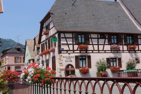 Alsace: Winery Tour with Wine Tasting and Food Pairings Visit in Spanish
