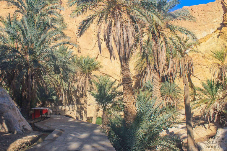 In the footsteps of Star Wars in Tunisia: 3-day tour from Djerba