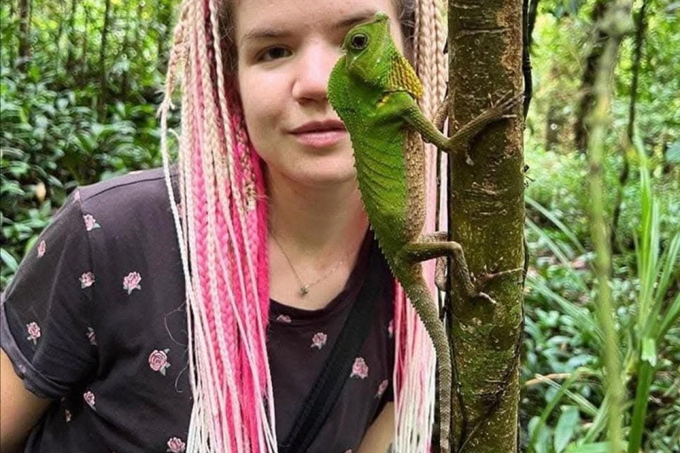 Sinharaja Rainforest Tour with Local Guide