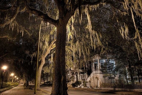 Charleston: visite guidée à pied de l'histoire hantée la nuit
