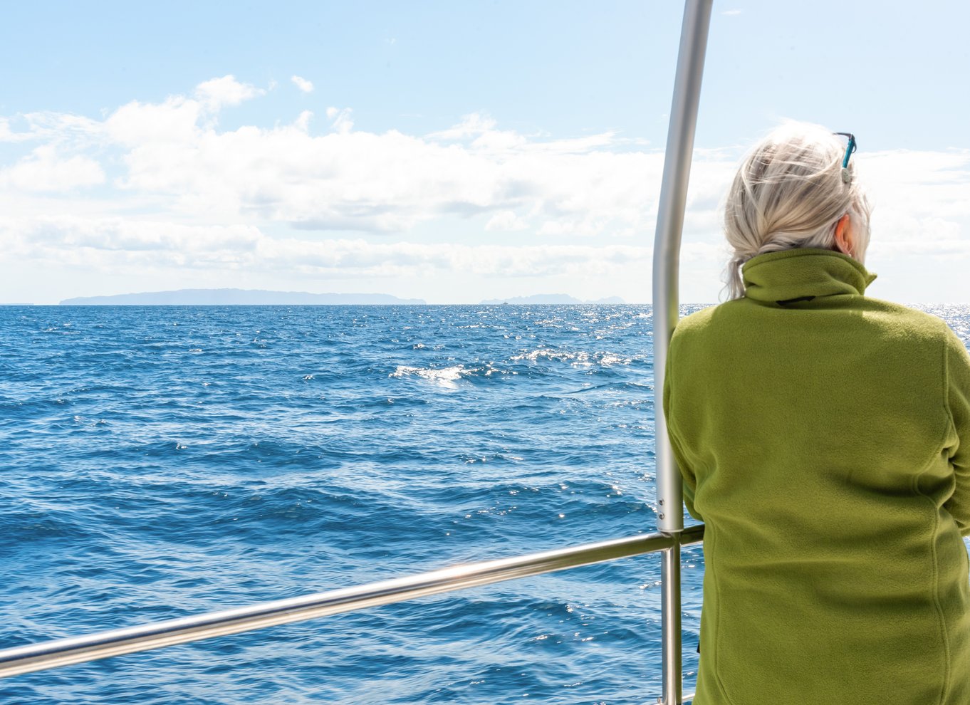 Fra Funchal: Delfin- og hvalsafari på Madeira