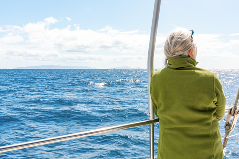 Desde Funchal: tour de avistamiento delfines y ballenas