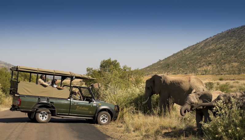 pilanesberg nature reserve game safari