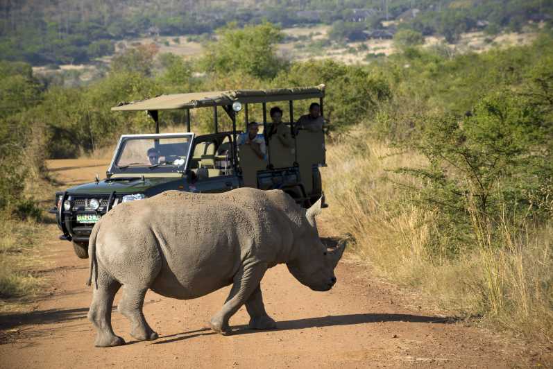 Da Johannesburg: Safari nella riserva naturale di Pilanesberg