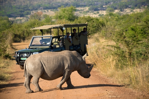 Vanuit Johannesburg: Pilanesberg Game Reserve dagsafariPilanesberg dagsafari met lunch in open voertuig