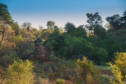 Pilanesberg Nature Reserve Full-Day Safari from Johannesburg Pilanesberg Full-Day Safari with Lunch in an Open Vehicle