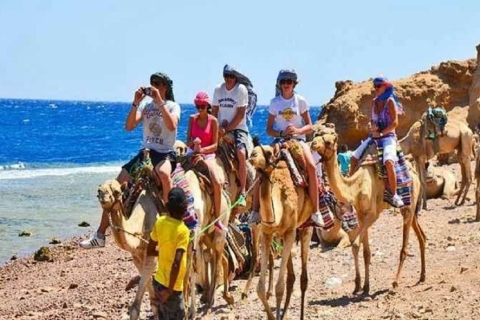 Sharm el-Sheik : Excursion d'une journée à Dahab, au Canyon Rouge et à Abu GalumSharm el-Sheik : Excursion d'une journée à Dahab, au Red Canyon et à Abu Galum