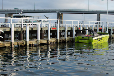 Von Melbourne aus: Phillip Island Penguin Parade Ganztagestour