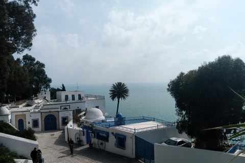 Van Tunis: halve dagtour naar Carthago en Sidi Bou Said