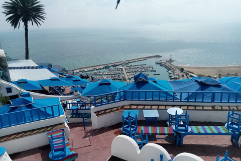 Van Tunis: halve dagtour naar Carthago en Sidi Bou Said