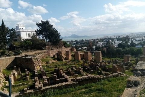 Van Tunis: halve dagtour naar Carthago en Sidi Bou Said