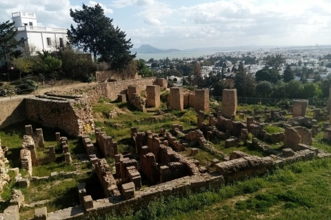 Van Tunis: halve dagtour naar Carthago en Sidi Bou Said